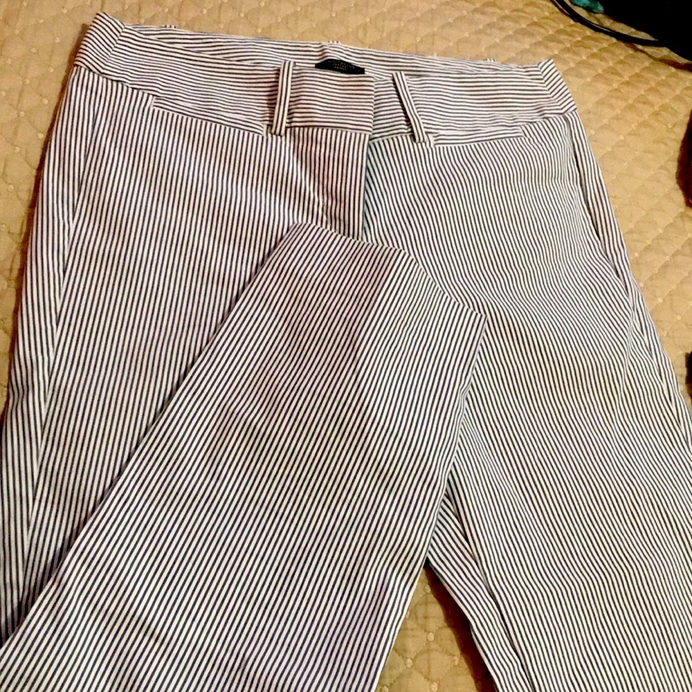 Ann Taylor Petite Striped Trousers